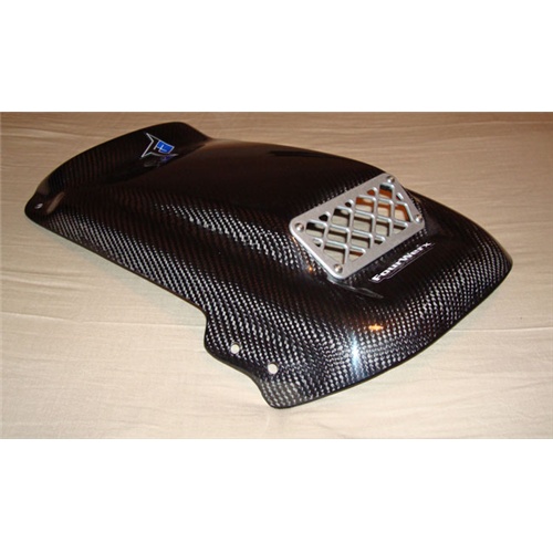 Honda 450r carbon fiber